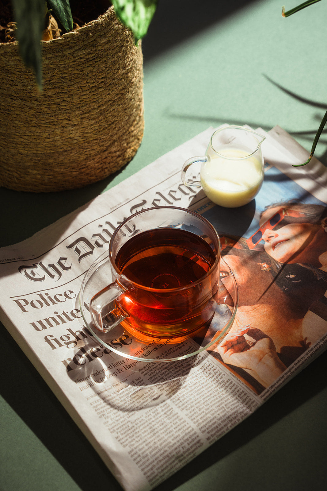 Té negro: Una guía del té más conocido del mundo