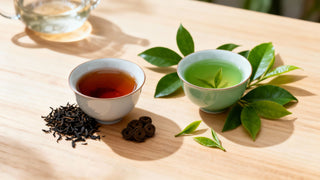 Black vs Green Tea An Expert Comparison for Health and Flavor