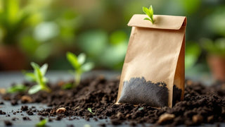 Your Guide to Compostable Tea Bags
