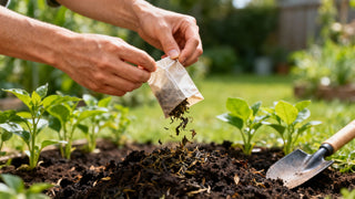 Your Guide to Tea Bags Compost for a Better Garden