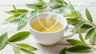 Lemon Verbena Health Benefits You Should Know