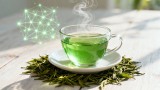 sen-cha green tea benefits: boosts focus & vitality