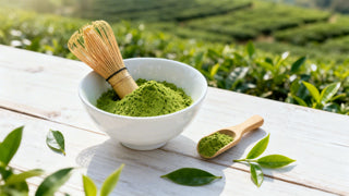 Your Guide to High Quality Matcha Powder