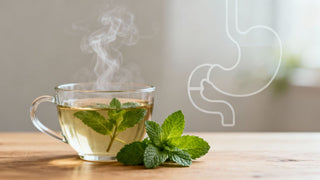 Peppermint Tea for Acid Reflux A Soothing Myth or a Real Trigger